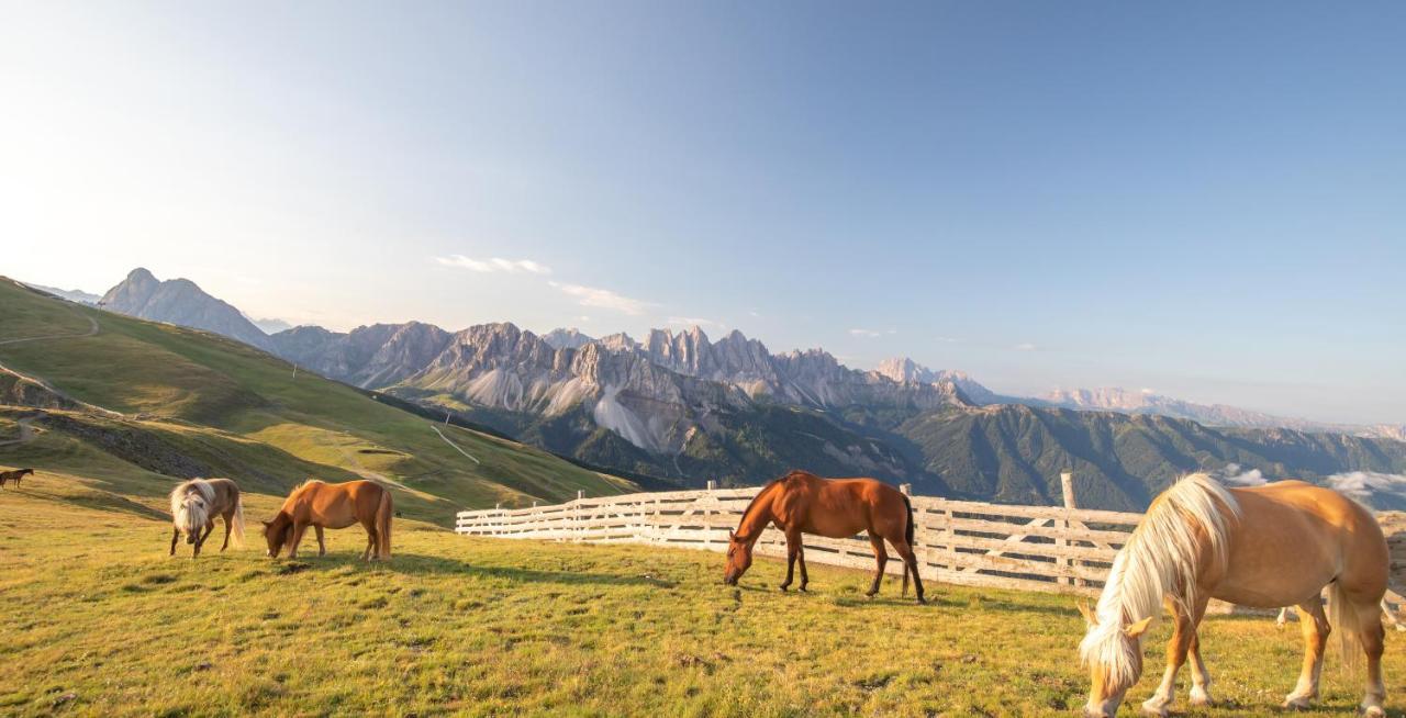 Residence Alpenrose เบรสซาโนเน ภายนอก รูปภาพ